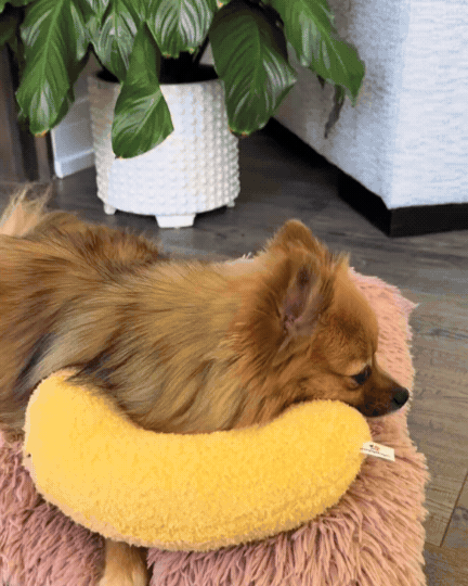 Pet Calming Pillow - Free Today - trendotrove